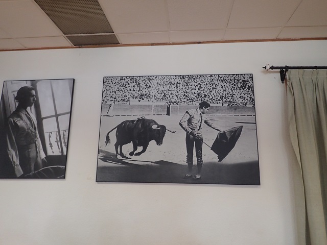 PA210022.JPG