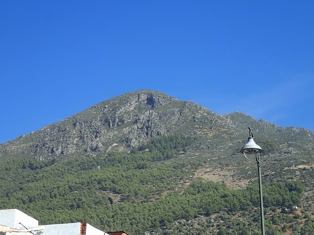 PA250592.jpg
