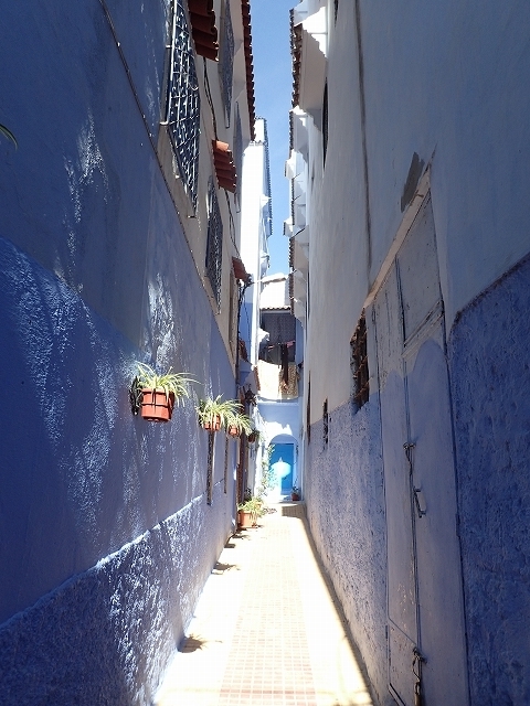 PA250616.jpg