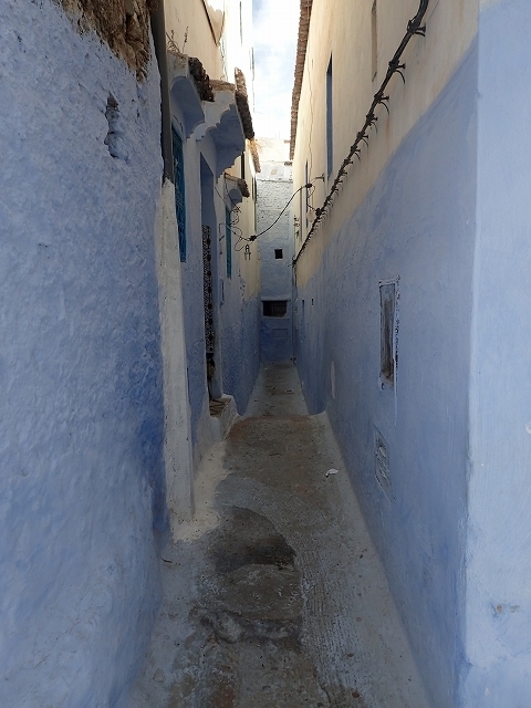 PA250622.jpg