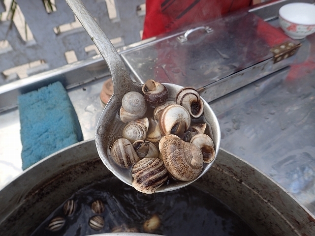PA260626.jpg