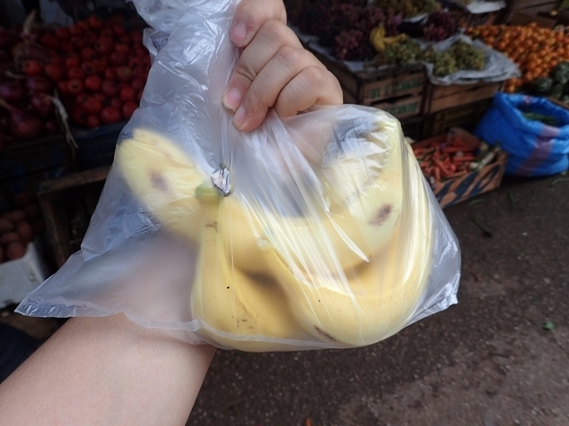 PA260628.jpg