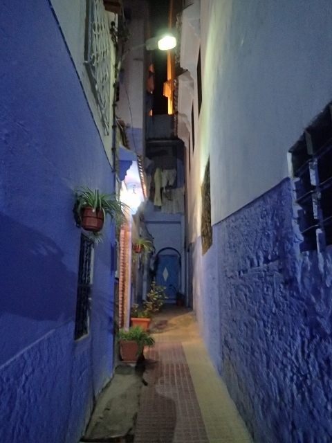 PA260644.jpg