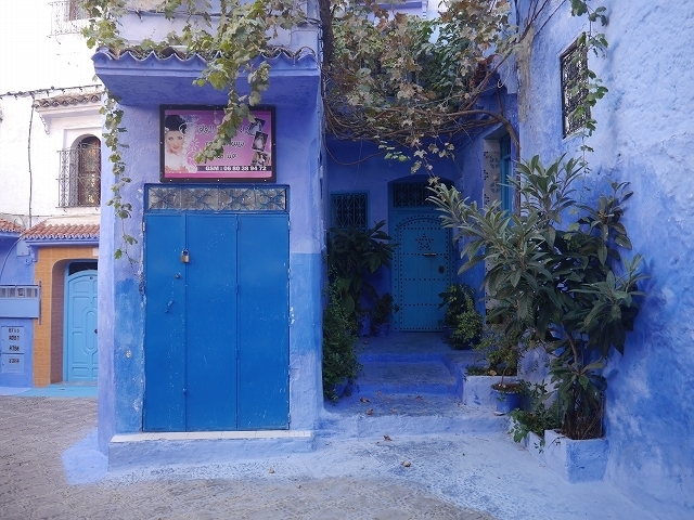 s-P1050104.jpg