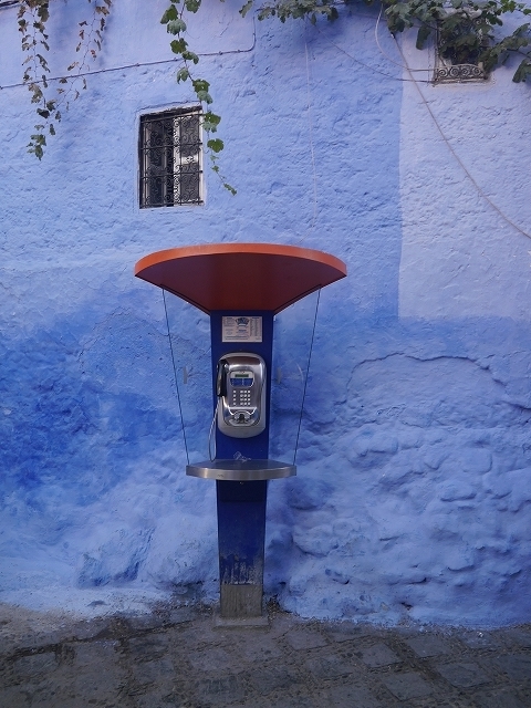 s-P1050105.jpg