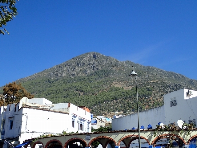 s-PA250591.jpg
